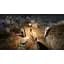 Ключ активации Microsoft Brothers: a Tale of Two Sons для Xbox One/Series - миниатюра 8