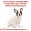 Сухой корм для щенков породы Французский Бульдог Royal Canin French Bulldog Puppy, 10 кг (3990100) - миниатюра 2