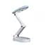 Настільні лампи Splendid-Ray lighting Splendid-Ray 30-3862-62 - мініатюра 1