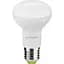 Светодиодная лампа Eurolamp LED Ecological Series, R63, 9W, E27, 3000K (LED-R63-09272(P)) - миниатюра 2