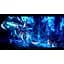 Ключ активації Microsoft Heroine Anthem Zero 2: Scalescars Oath для Xbox Series S/X - мініатюра 5