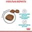 Сухой корм для кошек Royal Canin Urinary Care профилактика мочекаменной болезни 10 кг (1800100) - миниатюра 5