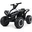 Дитячий електроквадроцикл Bambi Racer M 4959EBLR-1 до 25 кг - мініатюра 1
