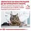 Вологий дієтичний корм для дорослих котів Royal Canin Urinary S/O при захворюваннях нижніх сечовивідних шляхів, 85 г (12540019) - мініатюра 4