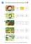 Ladybird Readers Starter A The Zoo Activity Book - миниатюра 4
