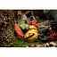 Гермомішок Exped Fold Drybag M (1054-018.0440) - мініатюра 4
