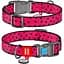 Нашийник для собак Waudog Nylon Кавун, з QR-паспортом, пластиковый фастекс, L, 31-49х2,5 см - мініатюра 3