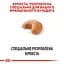 Сухой корм для взрослых собак породы Французский Бульдог Royal Canin French Bulldog Adult, 9 кг (3991090) - миниатюра 3