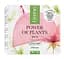 Крем для обличчя Lirene Power Of Plants Rose Lifting Cream 50 мл - мініатюра 2