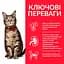 Сухий корм Hill's SP Adult для дорослих котів з куркою 3 кг - мініатюра 2