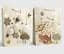 Подарунковий пакет "Святковий" 40х55х15см, набір з 2-х штук bl2502-213 - мініатюра 1