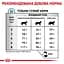 Сухий корм для дорослих котів при харчових алергіях Royal Canin Sensitivity Control, 1,5 кг (39090151) - мініатюра 3