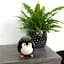 Ваза-кашпо МВМ My Home, 13 см, черная (DH-FLOWERS-27 BLACK) - миниатюра 5