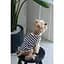 Майка Pet Fashion Tropic для собак L - мініатюра 5