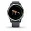 Смарт-годинник Garmin Venu Silver Stainless Steel Bezel w. Granite Blue and Silicone B. (010-02173-01/03) 010-02173-03 () - мініатюра 6