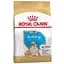 Сухий корм для цуценят породи Бульдог Royal Canin Bulldog Puppy, 12 кг (39671201) - мініатюра 1