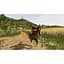 Игра Farming Simulator 20 (русские субтитры) (Nintendo Switch) - миниатюра 4