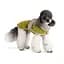 Попона Pet Fashion Gigi для собак, XXS фісташковий, бежевий - мініатюра 2