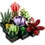 Конструктор LEGO Botanicals Сукуленти 771 деталь (10309) - мініатюра 3