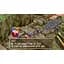 Ключ активации Microsoft Grandia HD Collection для Xbox One/Series S/X - миниатюра 2
