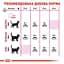 Сухой корм для кошек требовательных к составу продукта Royal Canin Exigent Savour 3.2 кг + 800 г - миниатюра 5