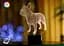 Нічник-світильник 3D Французький бульдог 3DTOYSLAMP 25х16 см osv0001332 - мініатюра 1