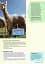 Wonderful World 2nd Edition 2 Lesson Planner - миниатюра 6