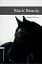 Oxford Bookworms Library Level 4. Black Beauty audio pack - мініатюра 1