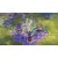 Ключ активации Microsoft Fae Farm - Deluxe Edition для Xbox One/Series S/X - миниатюра 11