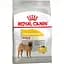 Сухой корм для собак средних пород с чувствительной кожей Royal Canin Medium Dermacomfort, 3 кг (2442010) - миниатюра 1