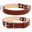 Нашийник для собак Collar подвійний (4820082496401) - мініатюра 1