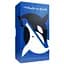 Настольная игра Oink Games Whale to Look (англ.) (PS226) - миниатюра 1
