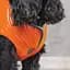 Жилет Pet Fashion Spring XS помаранчевий - мініатюра 5