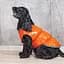 Жилет Pet Fashion Spring XS помаранчевий - мініатюра 4