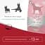 Сухий корм для собак Morando Migliorcane Unico свинина 2.5 кг - мініатюра 4