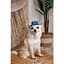 Панама Pet Fashion Stars для собак XS - миниатюра 6