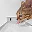 Поилка CATLINK AI Water Fountain - Wired White - миниатюра 3