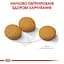 Сухой корм для собак средних пород с чувствительной кожей Royal Canin Medium Dermacomfort, 3 кг (2442010) - миниатюра 2