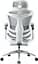Офісне крісло Sihoo DORO C300 Pro Mesh White with footrest (DORO-C300-PRO-M102-JT) - мініатюра 4