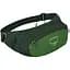 Поясна сумка Osprey Daylite Waist S21 Green (1054-009.3742) - мініатюра 1