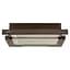 Вытяжка телескопическая Eleyus BREEZE 470 60 BR - миниатюра 3