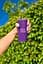Портативна колонка Grip Purple (JBLGRIPPUR) JBL teh0022407 - мініатюра 9