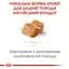 Сухий корм для цуценят породи Бульдог Royal Canin Bulldog Puppy, 12 кг (39671201) - мініатюра 3