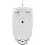 Мышь A4Tech N-530 (White) USB - миниатюра 10