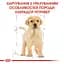 Сухий корм для цуценят породи Лабрадор Ретрівер Royal Canin Labrador Retriever Puppy, 12 кг (24911201) - мініатюра 2