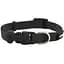 Нашийник для собак малих порід Coastal Litl Pals Nylon 0,8х15-20 см (00221_BLK07) - мініатюра 1