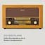 Стереосистема ретро Auna Belle Epoque Retro Stereo (10040054) Коричневый - миниатюра 5