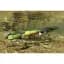 Воблер Jackall Chubby Micro 30F SR 30mm 2.0g Pellet Yellow - мініатюра 7