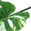Штучне листя Engard Monstera Alba 73 см (TW-54) - мініатюра 3