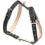 Шлейка Collar двойная для средних собак (ширина 25 мм, А: 49-68 см, В: 68-80 см) черная - миниатюра 2